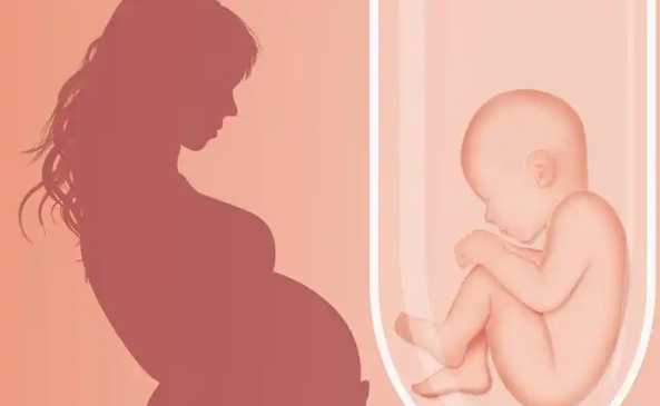 供精試管三代還需要做胚胎篩選嗎？